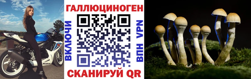 Псилоцибиновые грибы Cubensis Удомля